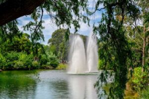 Picnic at Queen's Park, relaxing outdoor picnic, Queen's Park Moonee Ponds, family picnic spot, park picnic in Melbourne